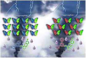 Graphical abstract: Supramolecular engineering cascade regulates NIR-II J-aggregates to improve photodynamic therapy