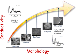 Graphical abstract: 2D organic nanosheets of self-assembled guanidinium derivative for efficient single sodium-ion conduction: rationalizing morphology editing and ion conduction