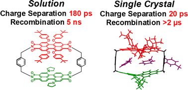 Graphical abstract: Structure-enabled long-lived charge separation in single crystals of an asymmetric donor–acceptor perylenediimide cyclophane