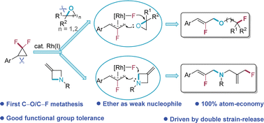 Graphical abstract: Double strain-release enables formal C–O/C–F and C–N/C–F ring-opening metathesis