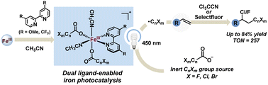 Graphical abstract: Dual ligand-enabled iron and halogen-containing carboxylate-based photocatalysis for chloro/fluoro-polyhaloalkylation of alkenes