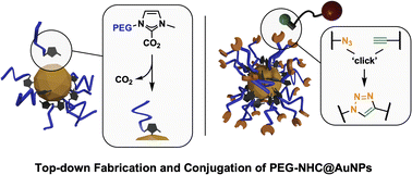 Graphical abstract: Fabrication of azido-PEG-NHC stabilized gold nanoparticles as a functionalizable platform