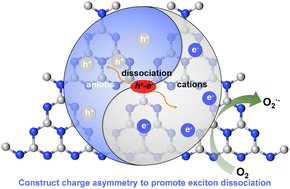 Graphical abstract: Boosting exciton dissociation in anion and cation co-doped polymeric semiconductor for selective oxidation reaction