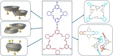 Graphical abstract: Dynamic and solid-state behaviour of bromoisotrianglimine
