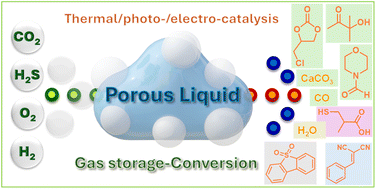 Graphical abstract: Porous liquids: an integrated platform for gas storage and catalysis