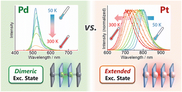 Graphical abstract: Thermo-responsive emission induced by different delocalized excited-states in isomorphous Pd(ii) and Pt(ii) one-dimensional chains