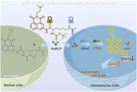 Graphical abstract: An enzyme-responsive double-locked amonafide prodrug for the treatment of glioblastoma with minimal side effects