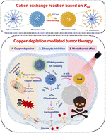 Graphical abstract: Copper depletion-induced tumor cuproptosis