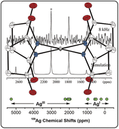 Graphical abstract: A homoleptic AgIII complex stabilized by succinimidate ligands