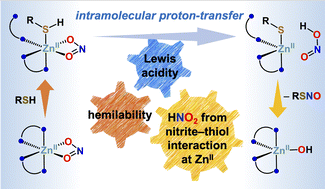 Graphical abstract: Role of ancillary ligands in S-nitrosothiol and NO generation from nitrite–thiol interactions at mononuclear zinc(ii) sites