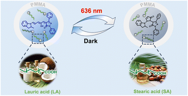 Graphical abstract: A DASA displaying highly efficient and rapid reversible isomerization within sustainable nano/micro capsules: one step closer to sustainability