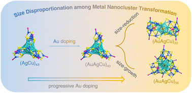 Graphical abstract: Size disproportionation among nanocluster transformations