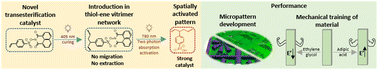 Graphical abstract: Microscale manipulation of bond exchange reactions in photocurable vitrimers with a covalently attachable photoacid generator