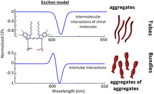 Graphical abstract: Chiroptical properties of cyanine aggregates: hierarchical modelling from monomers to bundles