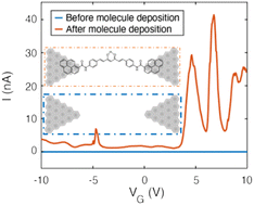 Graphical abstract: Experimental and theoretical studies of the electronic transport of an extended curcuminoid in graphene nano-junctions