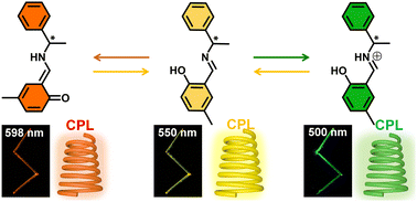 Graphical abstract: Flexible organic crystals with multi-stimuli-responsive CPL for broadband multicolor optical waveguides