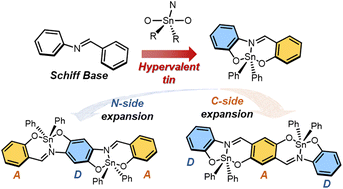 Graphical abstract: Quadrupolar dinuclear hypervalent tin(iv) compounds with near-infrared emission consisting of Schiff bases based on π-conjugated scaffolds