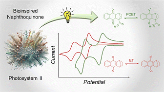 Graphical abstract: The role of an intramolecular hydrogen bond in the redox properties of carboxylic acid naphthoquinones