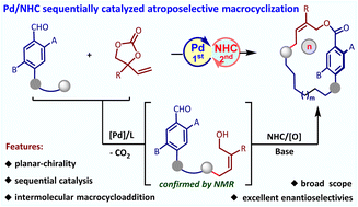 Graphical abstract: Pd/NHC sequentially catalyzed atroposelective synthesis of planar-chiral macrocycles