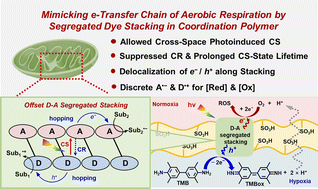 Graphical abstract: Electron transport chain-inspired coordination polymers for macroscopic spatiotemporal scales of charge separation and transport in photocatalysis