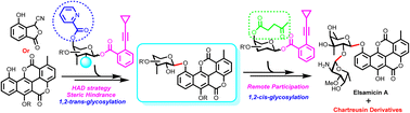 Graphical abstract: Collective total synthesis of chartreusin derivatives and bioactivity investigations