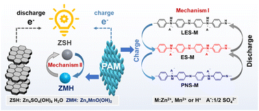 Graphical abstract: An interactive dual energy storage mechanism boosts high-performance aqueous zinc-ion batteries