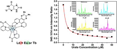 Graphical abstract: Mechanism of action and evaluation of ratiometric probes for uric acid using lanthanide complexes with tetraazatriphenylene sensitisers