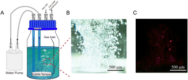 Graphical abstract: Methane C(sp3)–H bond activation by water microbubbles