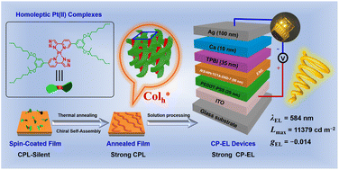 Graphical abstract: Efficient helical columnar emitters of chiral homoleptic Pt(ii) metallomesogens for circularly polarized electroluminescence