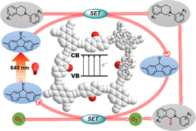 Graphical abstract: Ketone-functionalized conjugated organic polymers boost red-light-driven molecular oxygen-mediated oxygenation
