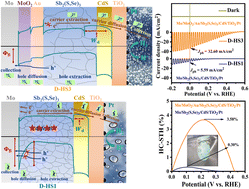 Graphical abstract: Dual back interface engineering optimized charge carrier dynamics in Sb2(S,Se)3 photocathodes for efficient solar hydrogen production