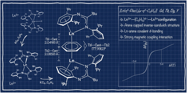 Graphical abstract: Rare earth benzene tetraanion-bridged amidinate complexes