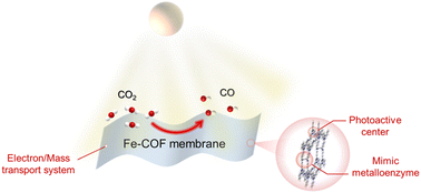 Graphical abstract: Mimic metalloenzymes with atomically dispersed Fe sites in covalent organic framework membranes for enhanced CO2 photoreduction
