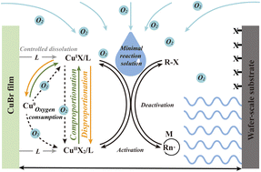 Graphical abstract: CuBr-mediated surface-initiated controlled radical polymerization in air