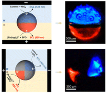 Graphical abstract: Bipolar electrochemiluminescence at the water/organic interface