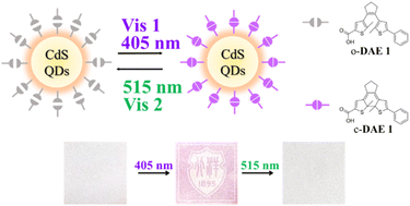 Graphical abstract: An efficient all-visible light-activated photoswitch based on diarylethenes and CdS quantum dots