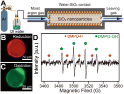 Graphical abstract: Simultaneous generation of hydroxyl and hydrogen radicals from H+/OH− pairs caused by water–solid contact electrification