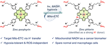 Graphical abstract: Photoactivated hydride therapy under hypoxia beyond ROS