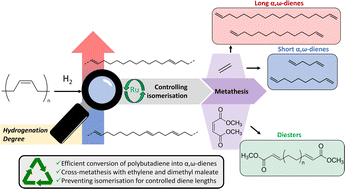 Graphical abstract: Chemical upcycling of polybutadiene into size controlled α,ω-dienes and diesters via sequential hydrogenation and cross-metathesis