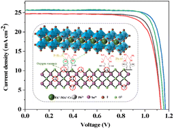 Graphical abstract: Buried interface management toward high-performance perovskite solar cells