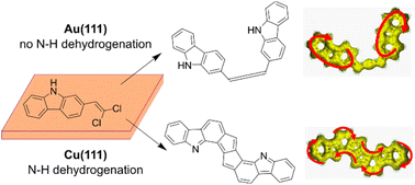Graphical abstract: Competing pathways to aromaticity governed by amine dehydrogenation and metal–organic complexation in on-surface synthesis