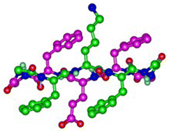 Graphical abstract: Formation of rippled β-sheets from mixed chirality linear and cyclic peptides—new structural motifs based on the pauling-corey rippled β-sheet