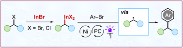 Graphical abstract: Unlocking the reactivity of the C–In bond: alkyl indium reagents as a source of radicals under photocatalytic conditions
