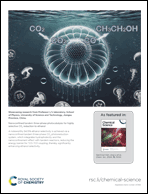 Graphical abstract: Back cover