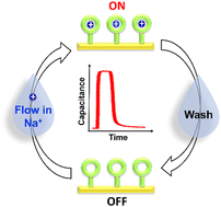 Graphical abstract: A focus on capacitive cation sensing under flow: play it again SAM
