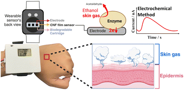 Graphical abstract: Highly sensitive flux-type non-invasive alcohol biosensor based on direct electron transfer of PQQ-dependent alcohol dehydrogenases adsorbed on carbon nanotubes
