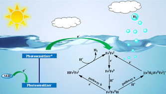 Graphical abstract: Bioinspired photo-driven hydrogen evolution systems based on hydrogenases and their mimics
