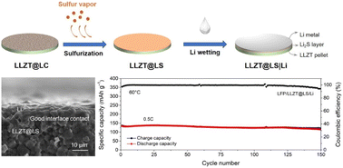 Graphical abstract: A surface sulfurization strategy for tuning the lithiophilicity of garnet electrolyte pellets towards advanced solid-state lithium metal electrolyte
