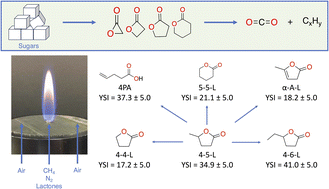 Graphical abstract: The sooting behavior of lactones as sustainable fuels