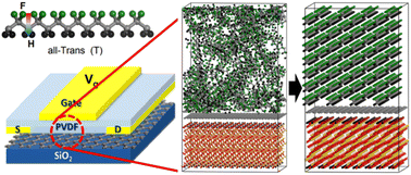Graphical abstract: Simulated annealing, spin-coating, and poling: in silico fabrication of ferroelectric polyvinylidene fluoride polymers on graphene as a model of a low-energy-consumption switching device